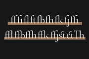 Castlon | 16 Fonts, a Serif Font by Skinny Type (Thumbnail 10 of 10)