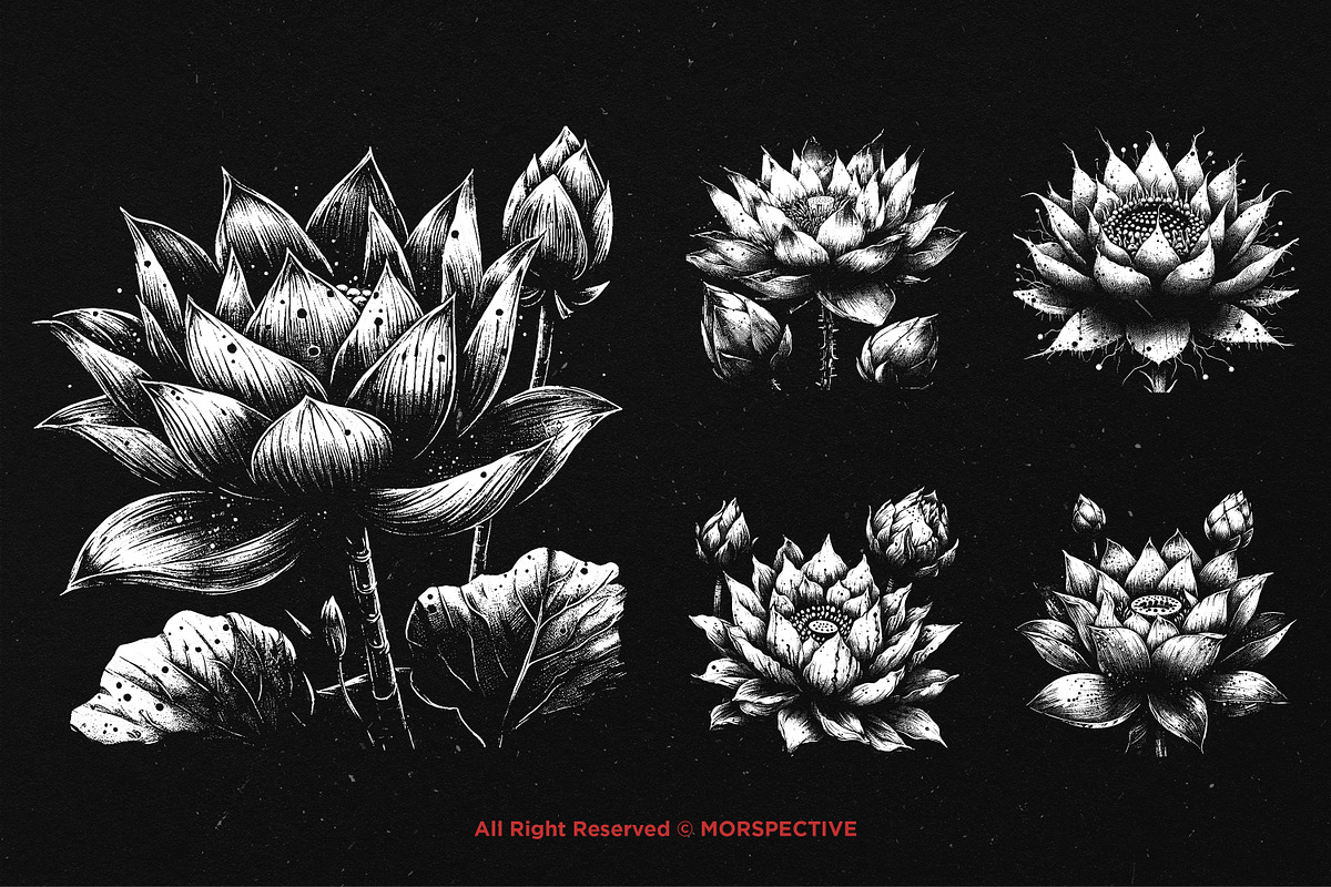 10 Bundle Dark Art Lotus Flower, an Illustration by Morspective (Photo 3 of 7)