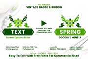 72 SPRING VINTAGE BADGE & RIBBON, a Branding & Logo Template by Toonsteb (Thumbnail 2 of 12)