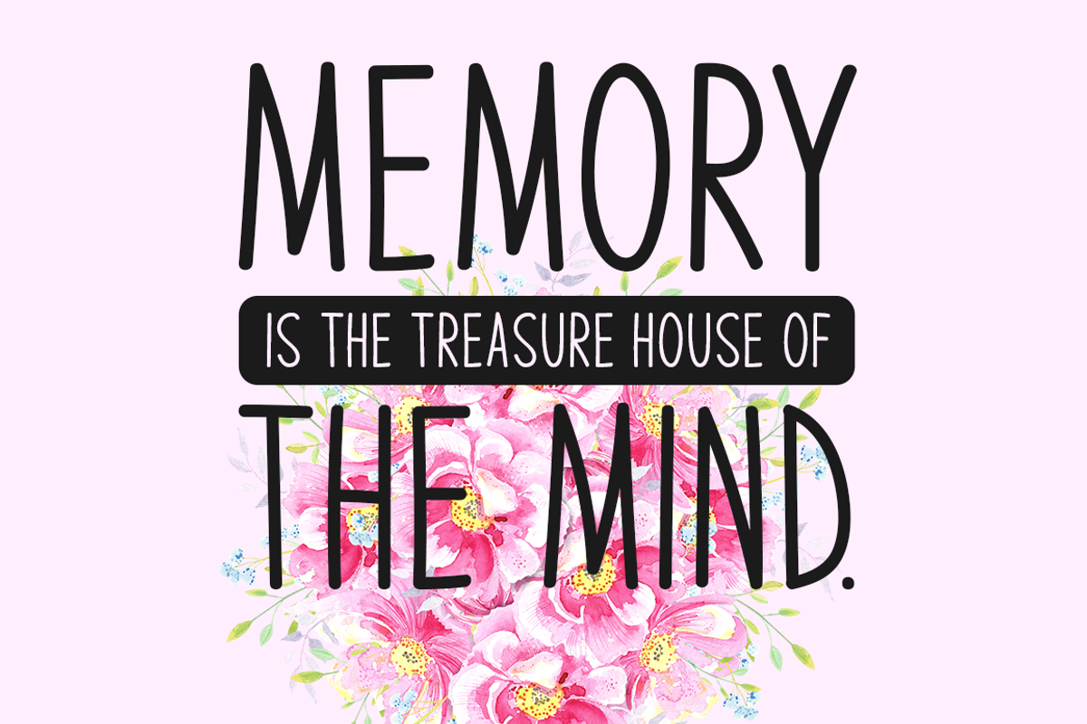 Strong Memory Typeface, a Handwritten Font by Seemly Fonts