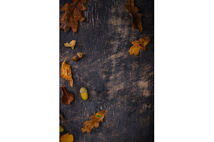 Autumn background with dry leaves., a Nature Photo by Yulia Furman