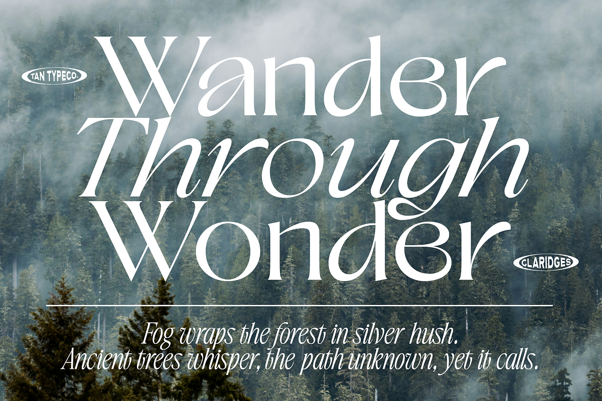 TAN - CLARIDGES, a Font by TanType (Photo 5 of 13)