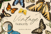 Vintage butterfly modern collection, an Animal Illustration by Beauty Drops (Thumbnail 1 of 8)
