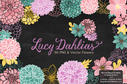 Summer Dahlia Vectors & Clipart, an Illustration by Amanda Ilkov (Thumbnail 2 of 4)