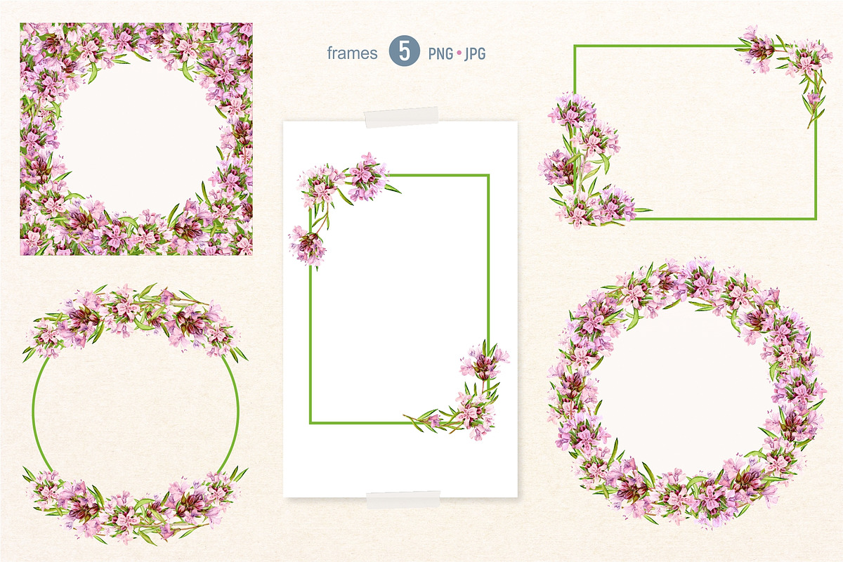 THYME tea. Watercolor set, a Food Illustration by Tata Pilip (Photo 4 of 6)
