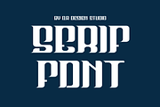 Space Authen - Serif Font, a Serif Font by QR Design Studio (Thumbnail 2 of 7)