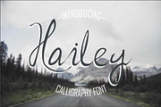 Hailey, a Script Font by Dira Studio (Thumbnail 1 of 6)