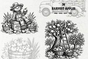Apple Harvest SVG Bundle, a Seasonal Illustration by DENIDigitalArtSudio