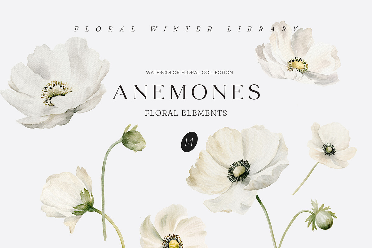 FLORAL WINTER BOX Watercolor Bundle, a Seasonal Illustration by Muse Artist (Photo 92 of 95)
