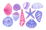 Coastal finds, a Seasonal Illustration by Watercolor life (Thumbnail 4 of 8)