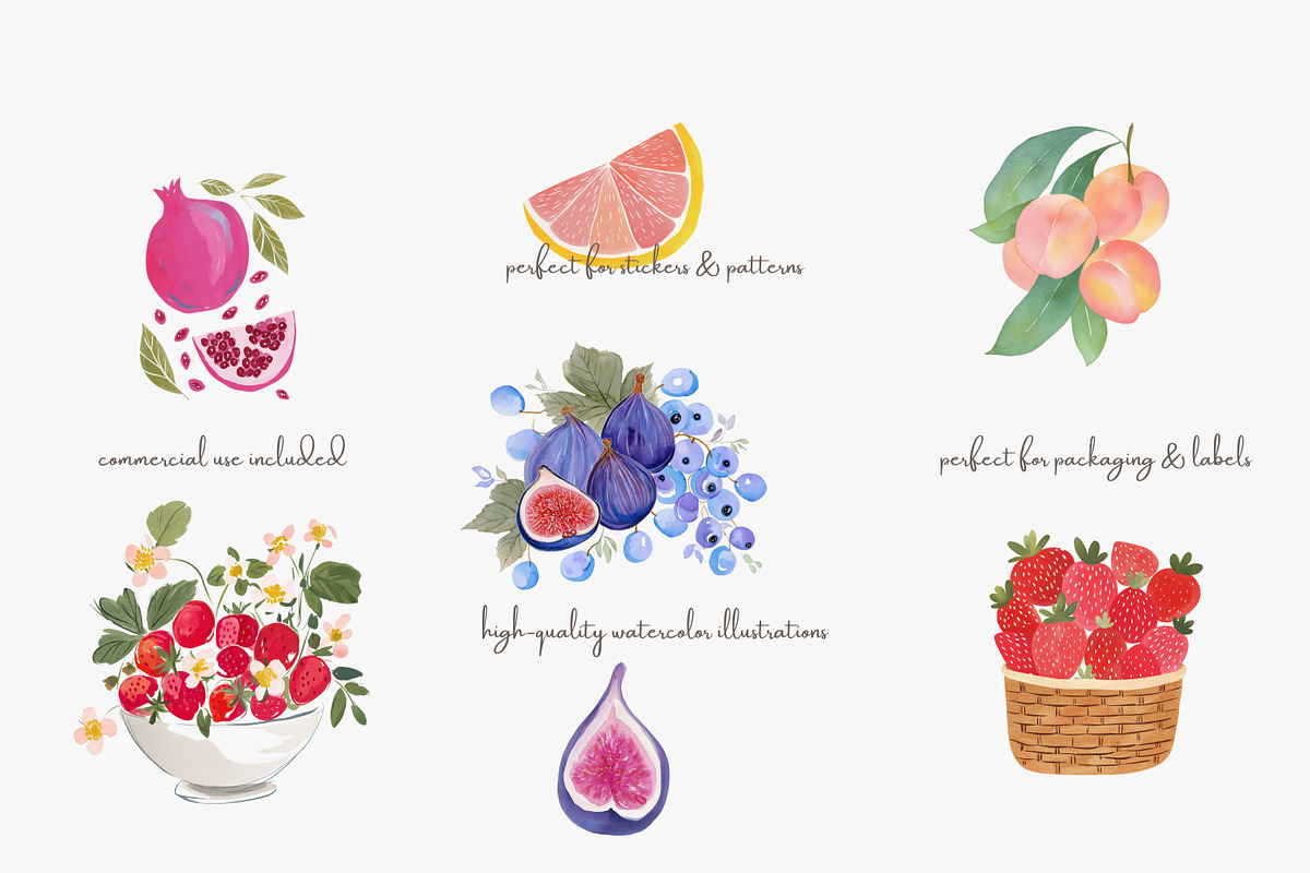 Fruit watercolor clipart set, a Decorative Illustration by Patishop Art (Photo 3 of 7)