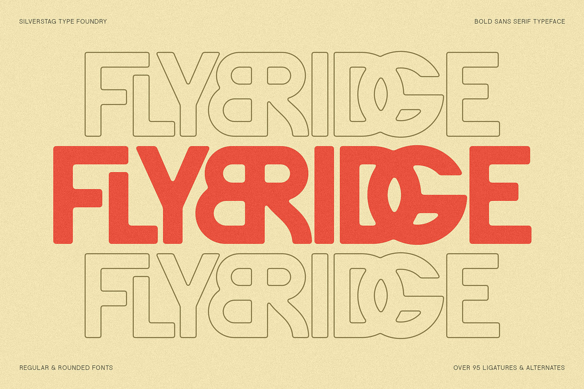 FlyBridge - Bold Ligature Rich Sans, a Sans Serif Font by SilverStag Type Foundry (Photo 1 of 30)