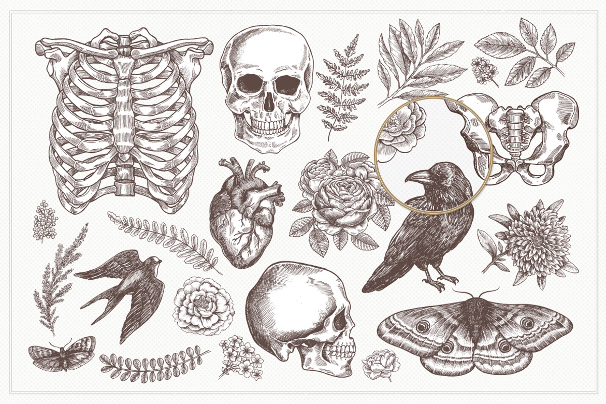Floral Anatomy, an Illustration by adehoidar (Photo 3 of 9)