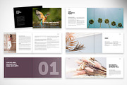 Annual Report in Landscape Format, a Brochure Template by McLittle Stock (Thumbnail 2 of 6)