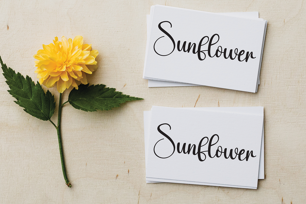 Visible | Script Font, a Script Font by Scratchones (Photo 8 of 8)