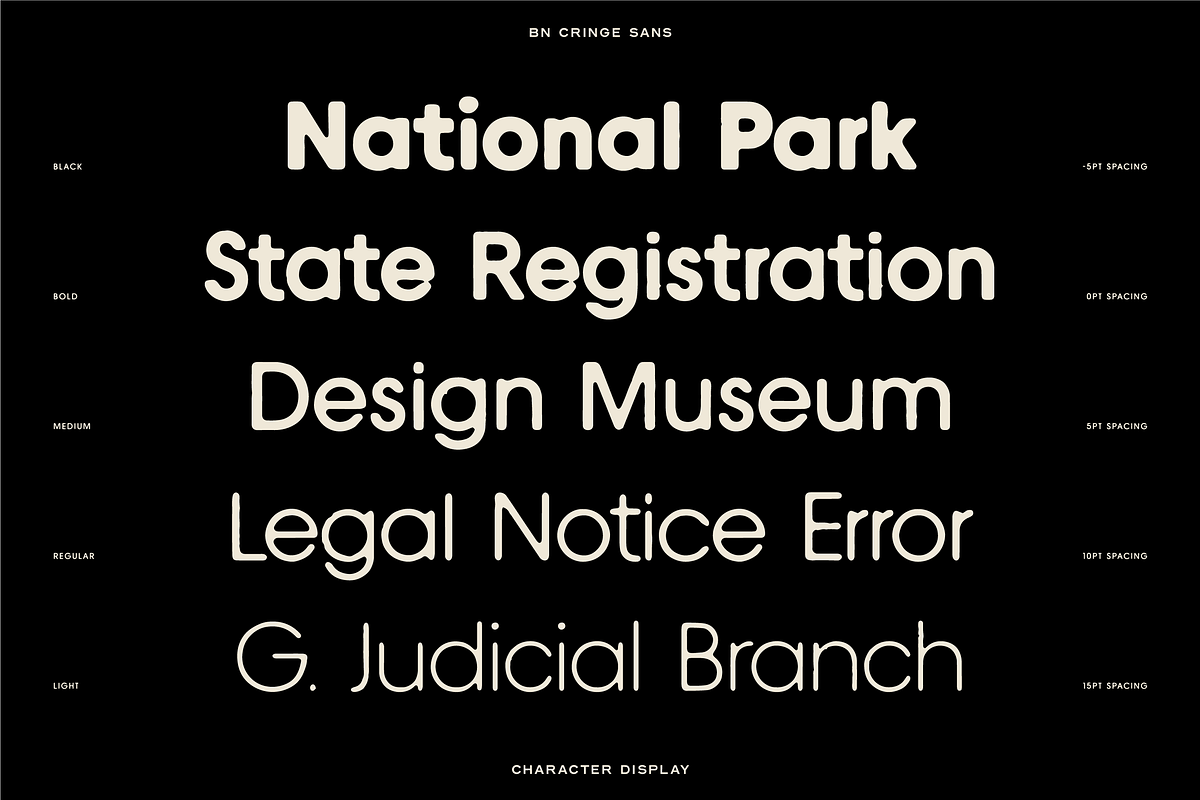 The Diverse Font Bundle, a Sans Serif Font by Bnick (Photo 22 of 34)