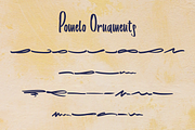 Pomelo font, a Script Font by MarioPanDeliver (Thumbnail 3 of 9)