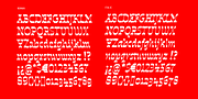 Invertida, a Slab Serif Font by Vanarchiv (Thumbnail 8 of 8)