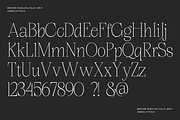 hoto serif display, a Serif Font by InkwellTypeCo (Thumbnail 4 of 9)