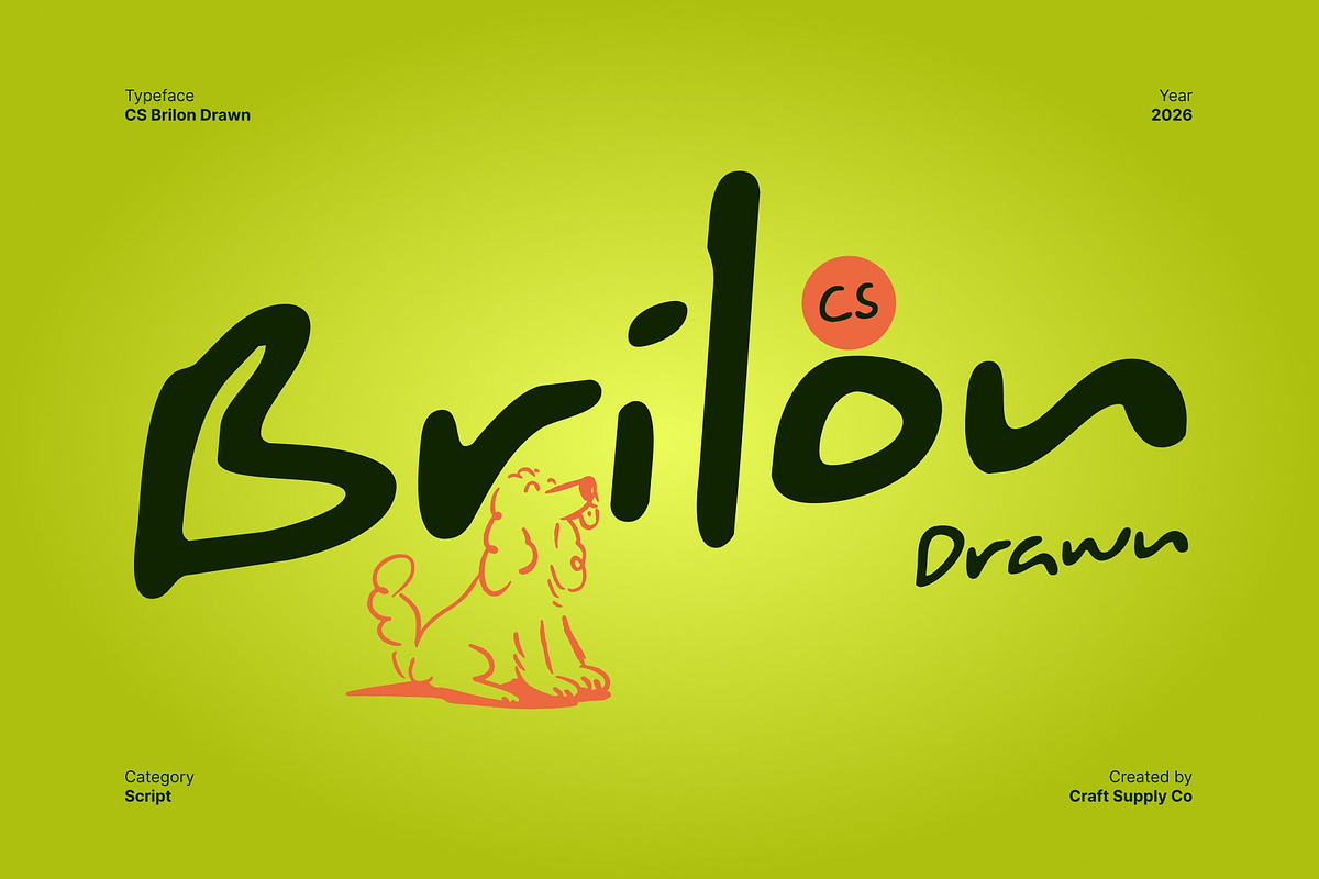 CS Brilon Drawn, a Handwritten Font by Craft Supply Co. (Photo 1 of 8)