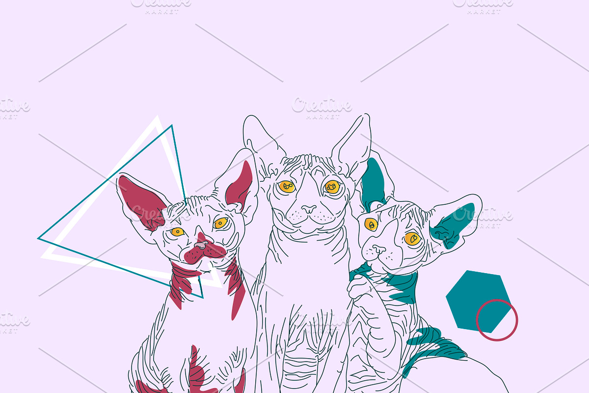 The cats, an Animal Illustration by 2D/3D (Photo 5 of 5)