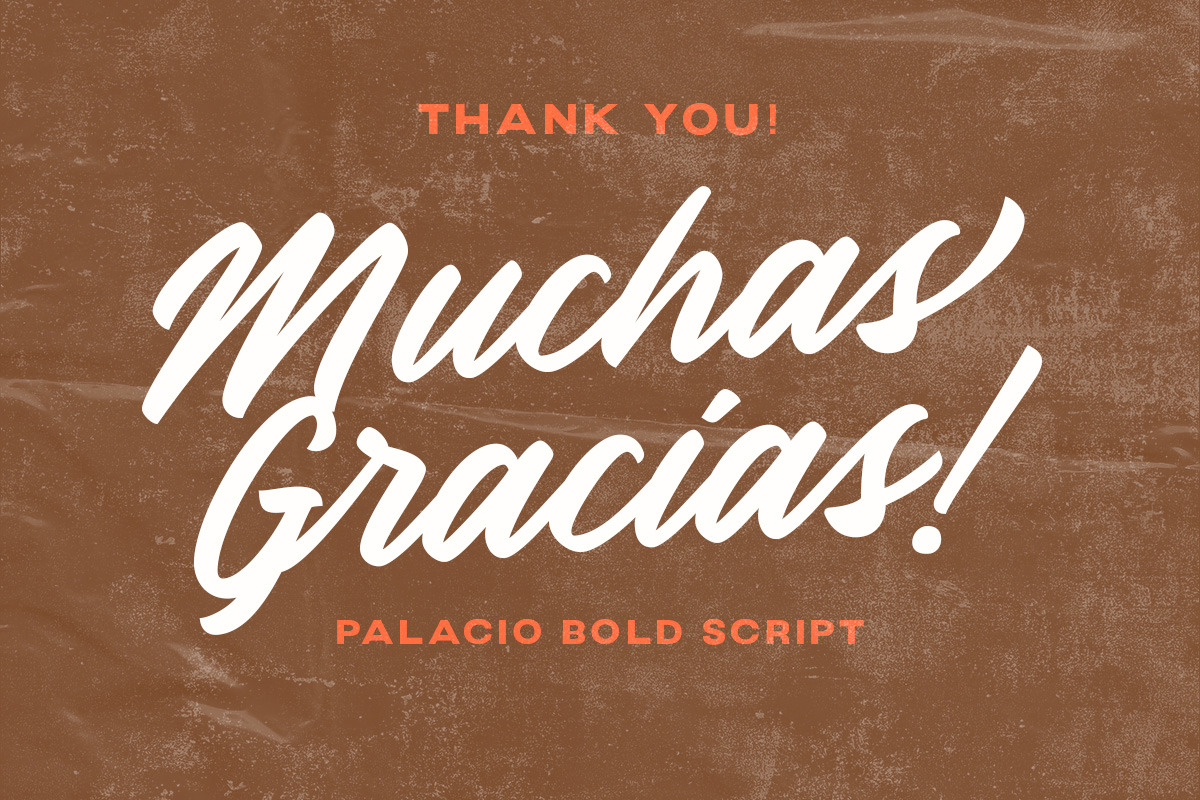 Palacio - Bold Script, a Script Font by Littlehand (Photo 9 of 9)