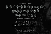 Antithesis Letter - Blackletter Type, a Blackletter Font by Meizzaluna Design (Thumbnail 5 of 10)