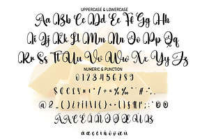 Butter Signature Script Font