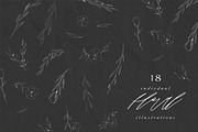 Fine Art Wild Flower Illustrations, a Texture Illustration by With Love Ethel (Thumbnail 3 of 7)