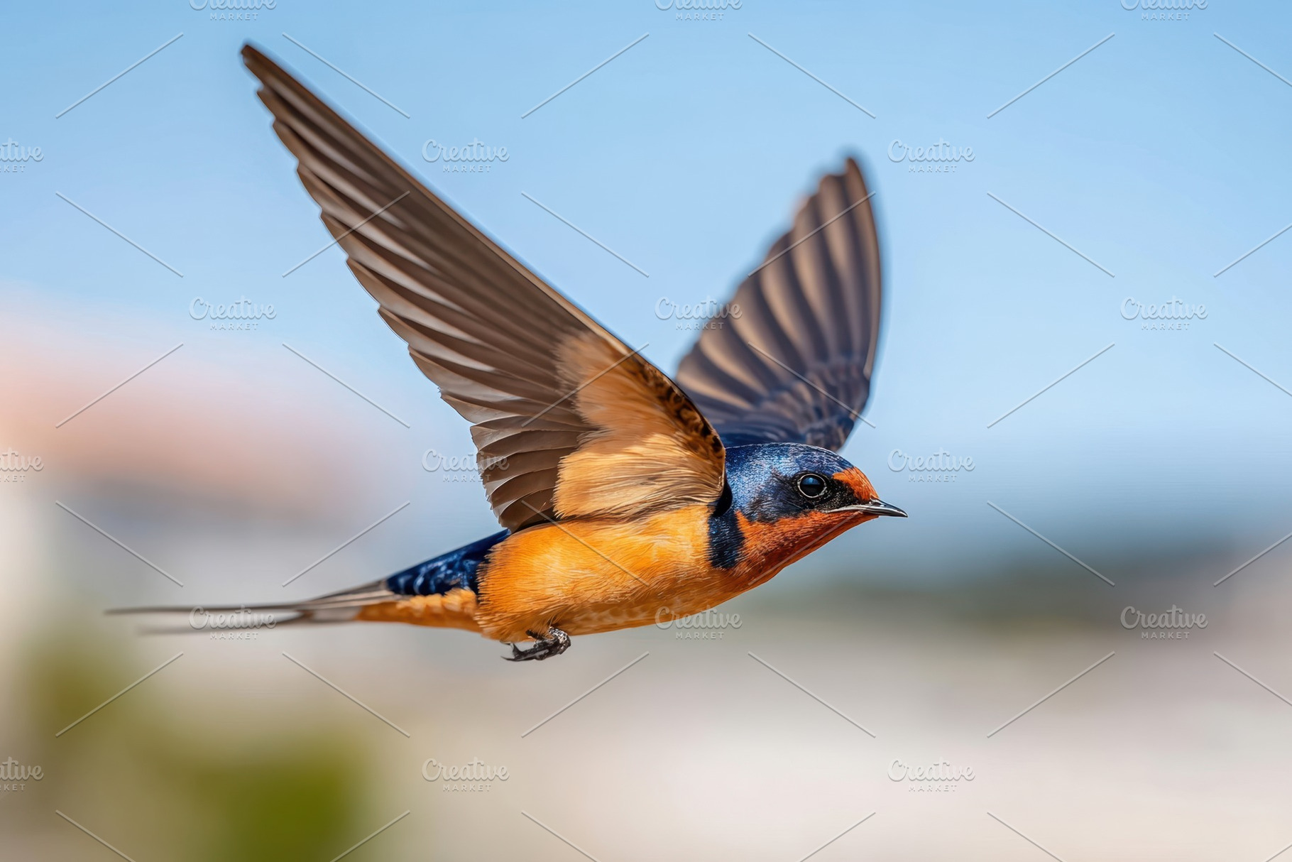 Swallow bird in flight against a blurred background, an Animal Photo by AlyaAnd
