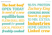 Convexion, a Serif Font by Typogama (Thumbnail 6 of 10)