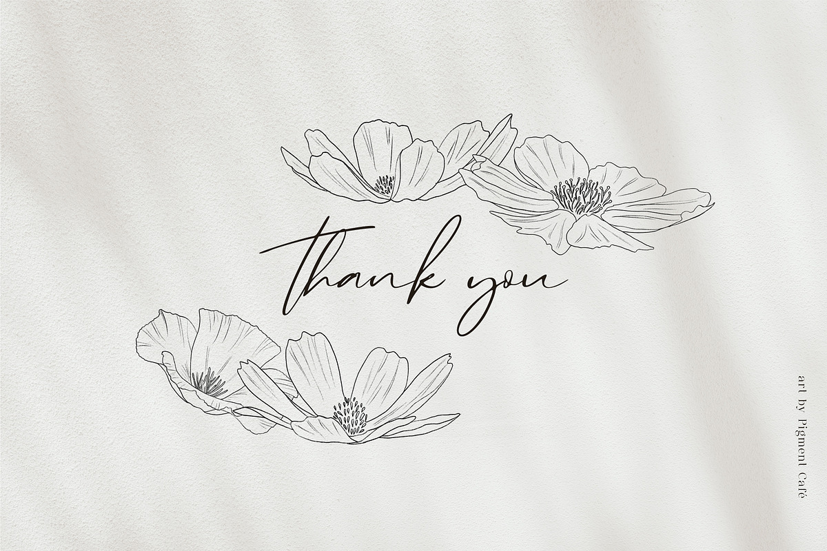Meadow Flowers & Blooms Bundle, an Illustration by Pigment Café (Photo 9 of 9)