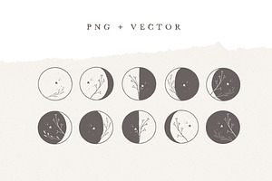 MOON PHASES / Vector Illustration