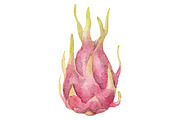 Watercolor 24 fruits set, a Food Illustration by My watercolor shop (Thumbnail 16 of 16)