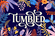 The Elegant Font Bundle - Vol 02, a Sans Serif Font by Salt & Pepper Designs (Thumbnail 4 of 11)