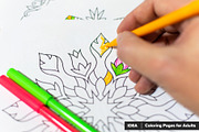 Mandala Vector Ornaments Bundle, a Decorative Illustration by pixaroma (Thumbnail 9 of 43)