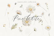 NEW! Late Summer Bundle, an Illustration by Isabelle Salem (Thumbnail 147 of 216)