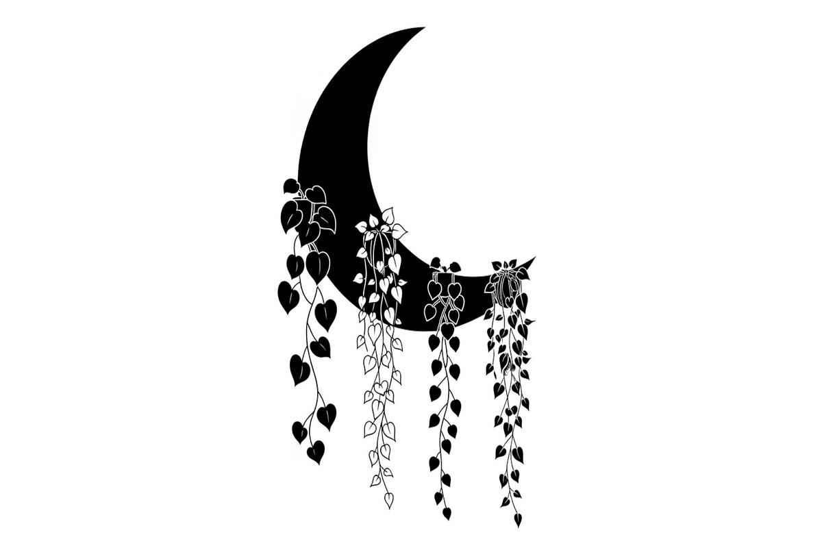 Hanging Moon with Plants Bundle, an Illustration by Designs_River (Photo 29 of 31)