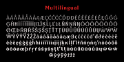 High Castle, a Serif Font by Par Défaut (Thumbnail 6 of 8)
