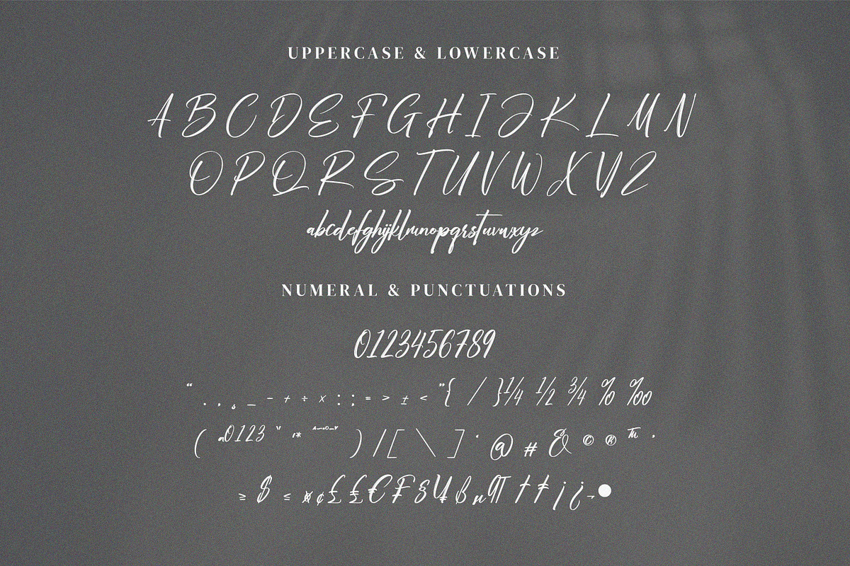 Challystin, a Handwritten Font by Goresan Studio (Photo 10 of 15)
