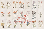 Hortus Vintage Flowers Prints, a Decorative Illustration by Digital Museum (Thumbnail 3 of 9)