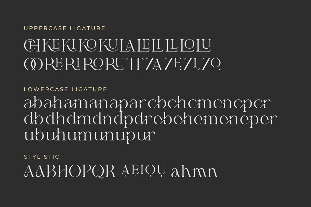 Shanell - Modern & Luxury Serif Font, a Serif Font by Typebae (Photo 11 of 12)