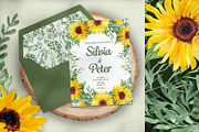 Sunflowers Watercolor Collection, an Illustration by Anna Druzhkova (Thumbnail 11 of 14)