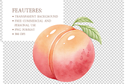 Sweet Little Peach Floral PNG Set, an Illustration by MockupWizard (Thumbnail 3 of 4)