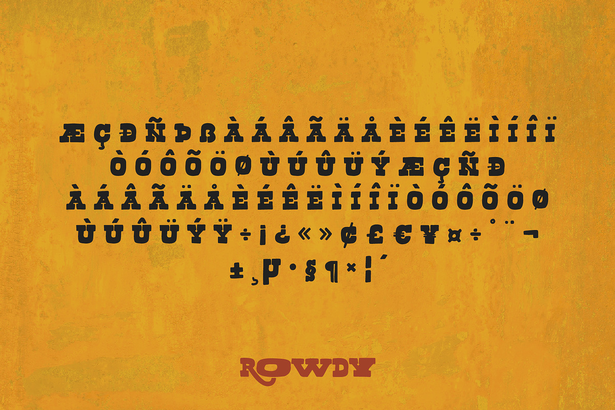 Rowdy, a Slab Serif Font by Midnight Grim (Photo 6 of 8)