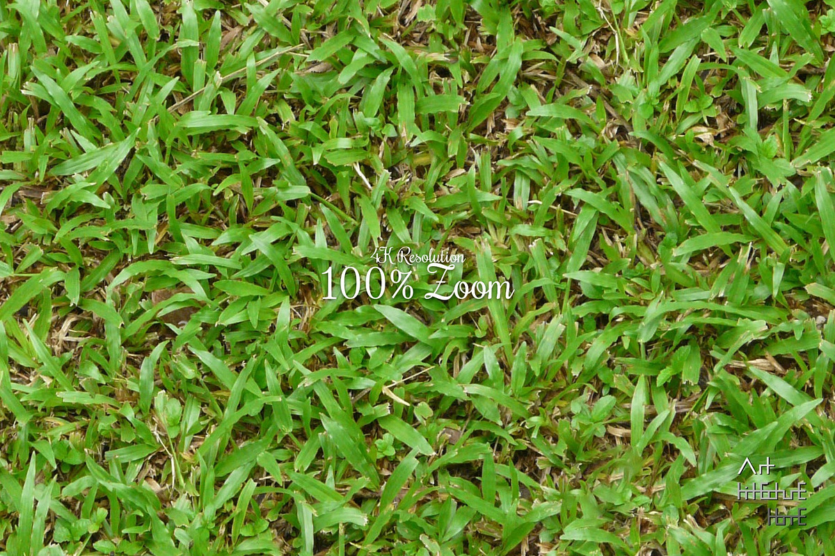 Seamless Ground Textures-Green Grass, a Texture Graphic by Arthitecture Home (Photo 2 of 11)
