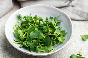 Fresh microgreens of tatsoi in a bowl, creating a healthy culina, a Food & Drink Photo by Olena Rudo