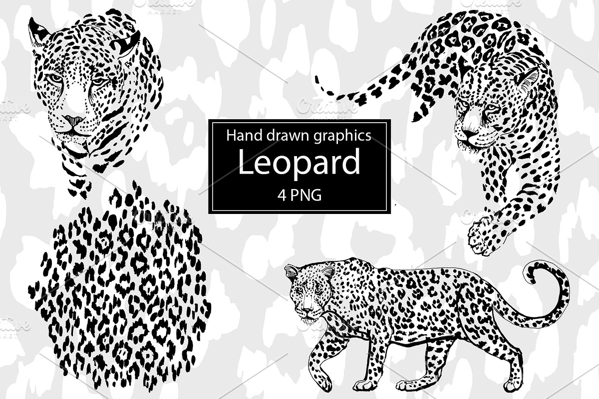 Graphic Leopard.Pattern Leopard Skin, an Animal Illustration by lilisavelieva (Photo 2 of 3)