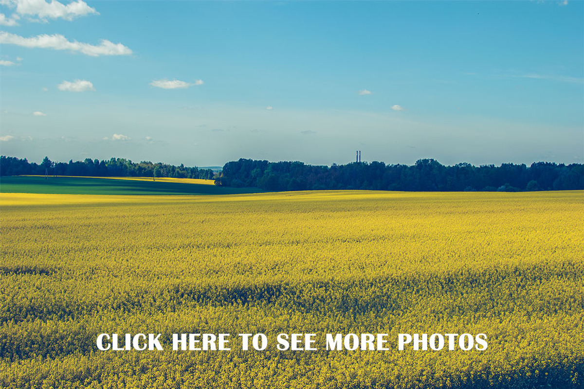 3 x MEGA PHOTO PACK, a Templates & Theme by Zabiegala MP (Photo 14 of 14)