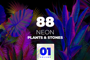 NEON Plants & Stones Collection 01